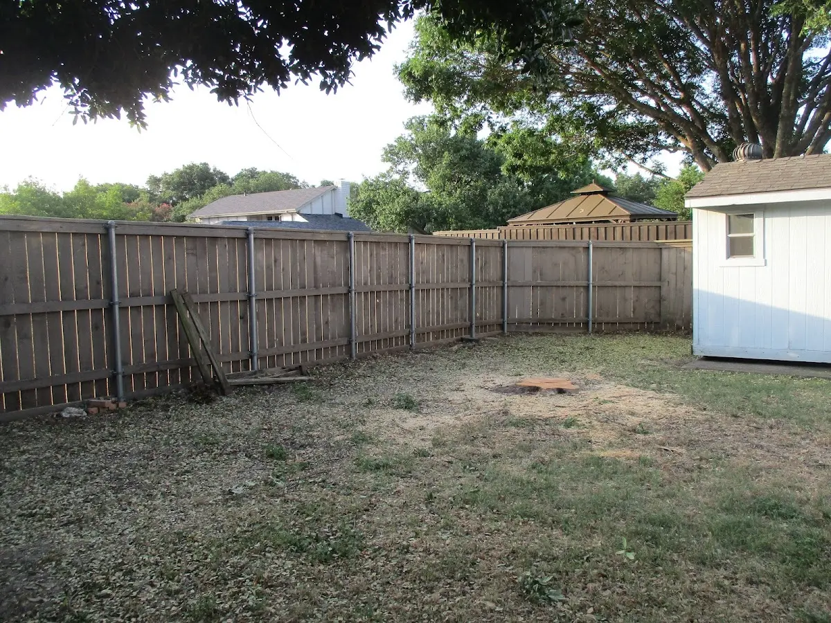 Cleared yard after professional tree removal in Brownell